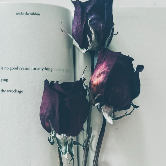 Meet your Posher, Deana - Picture 1 of 2